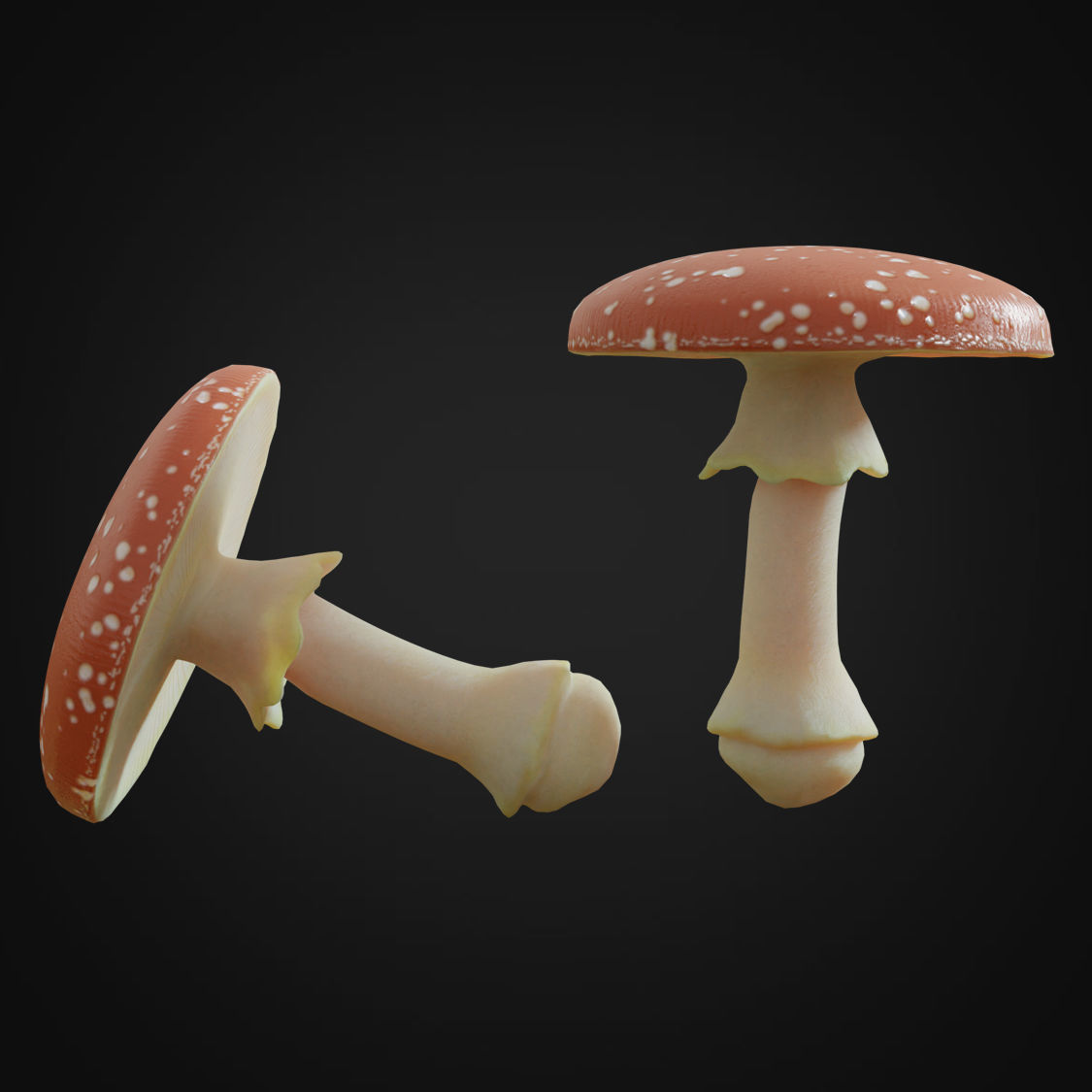 Amanita fungus Low-poly 3D model_3