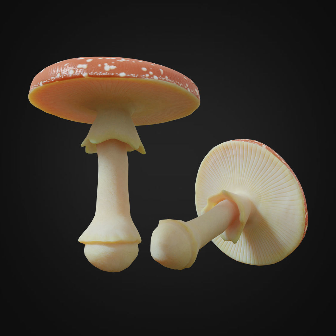 Amanita fungus Low-poly 3D model_1