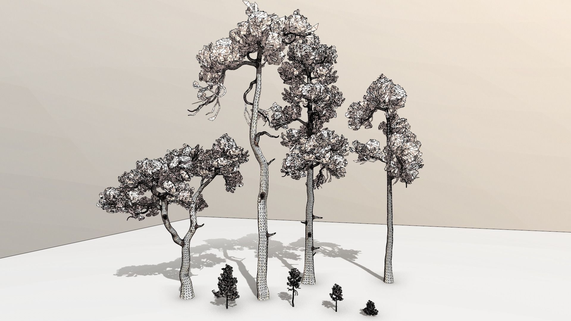 Pine Pack Low-poly 3D model_14