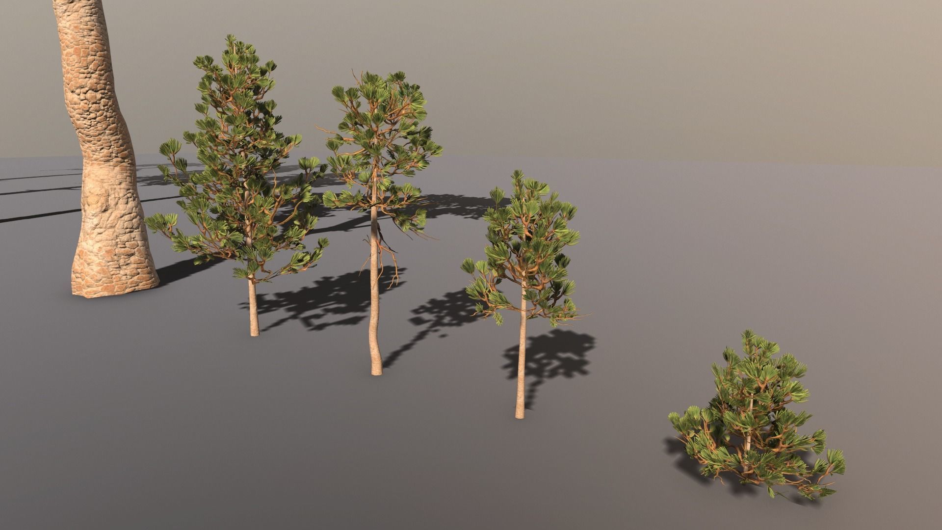 Pine Pack Low-poly 3D model_5