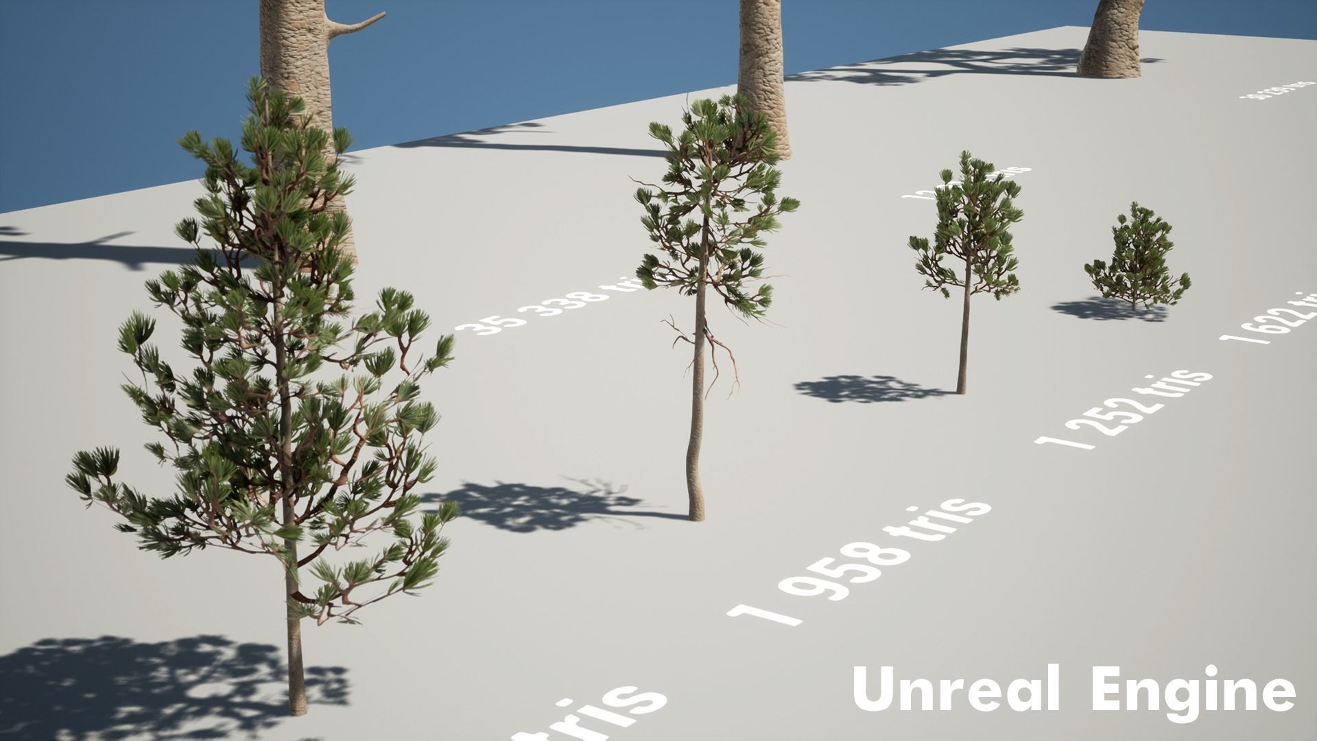 Pine Pack Low-poly 3D model_11