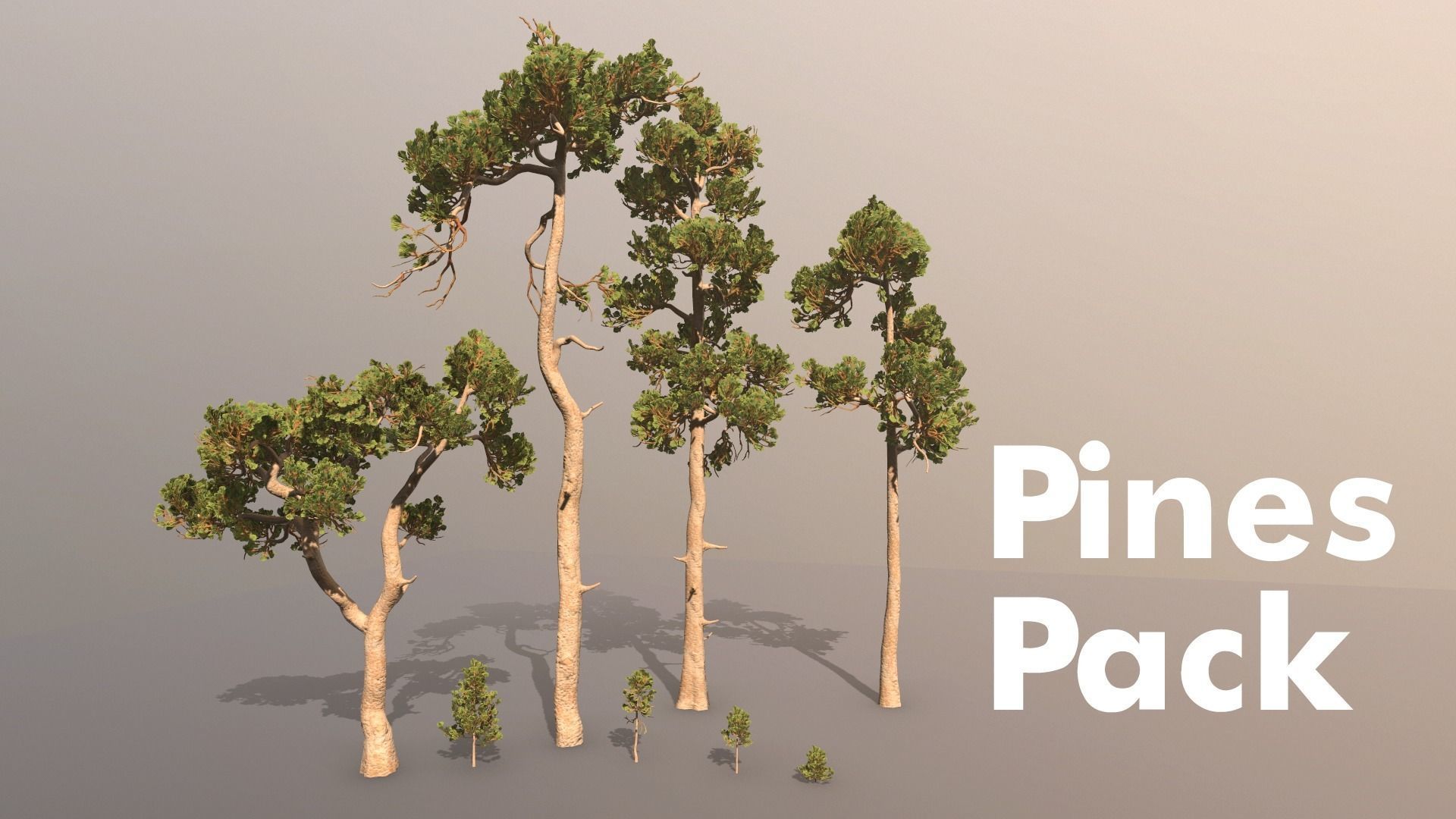 Pine Pack Low-poly 3D model_1