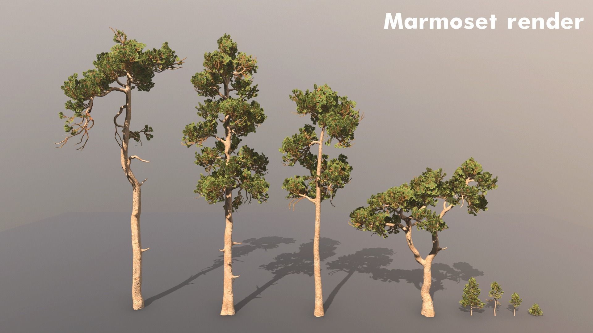 Pine Pack Low-poly 3D model_2