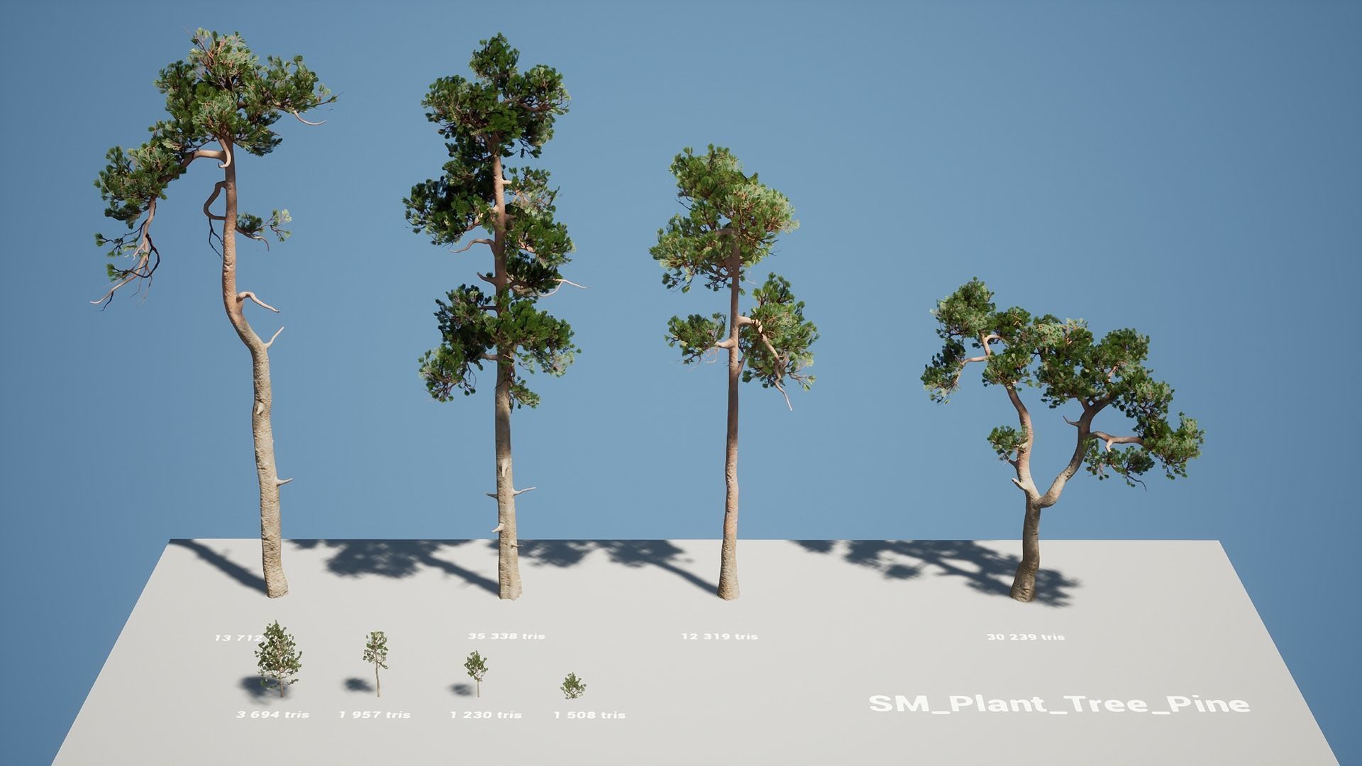 Pine Pack Low-poly 3D model_7