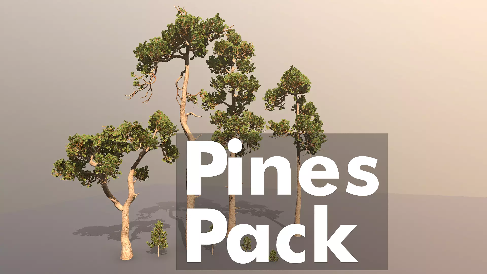 Pine Pack Low-poly 3D model_0