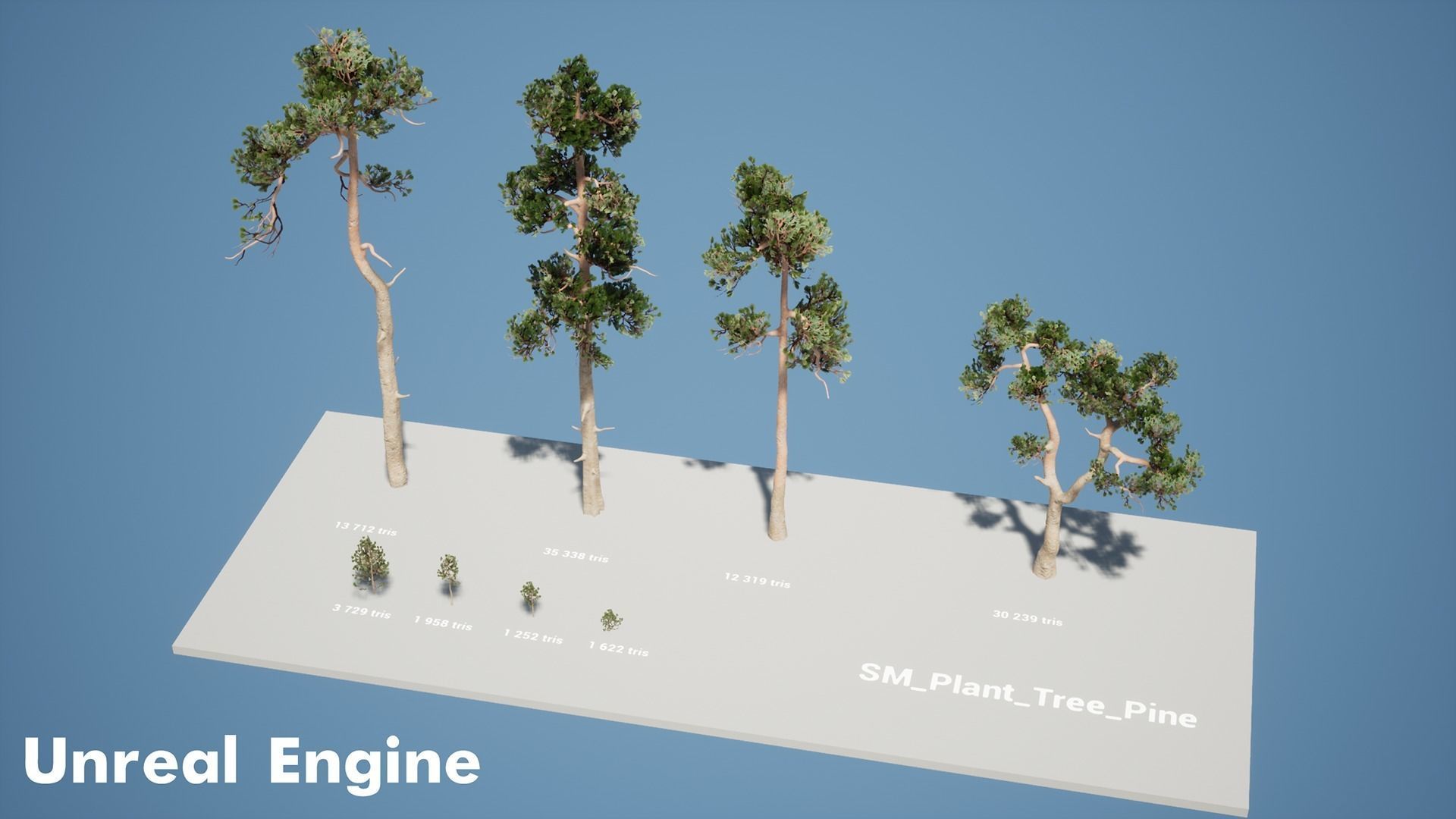 Pine Pack Low-poly 3D model_6