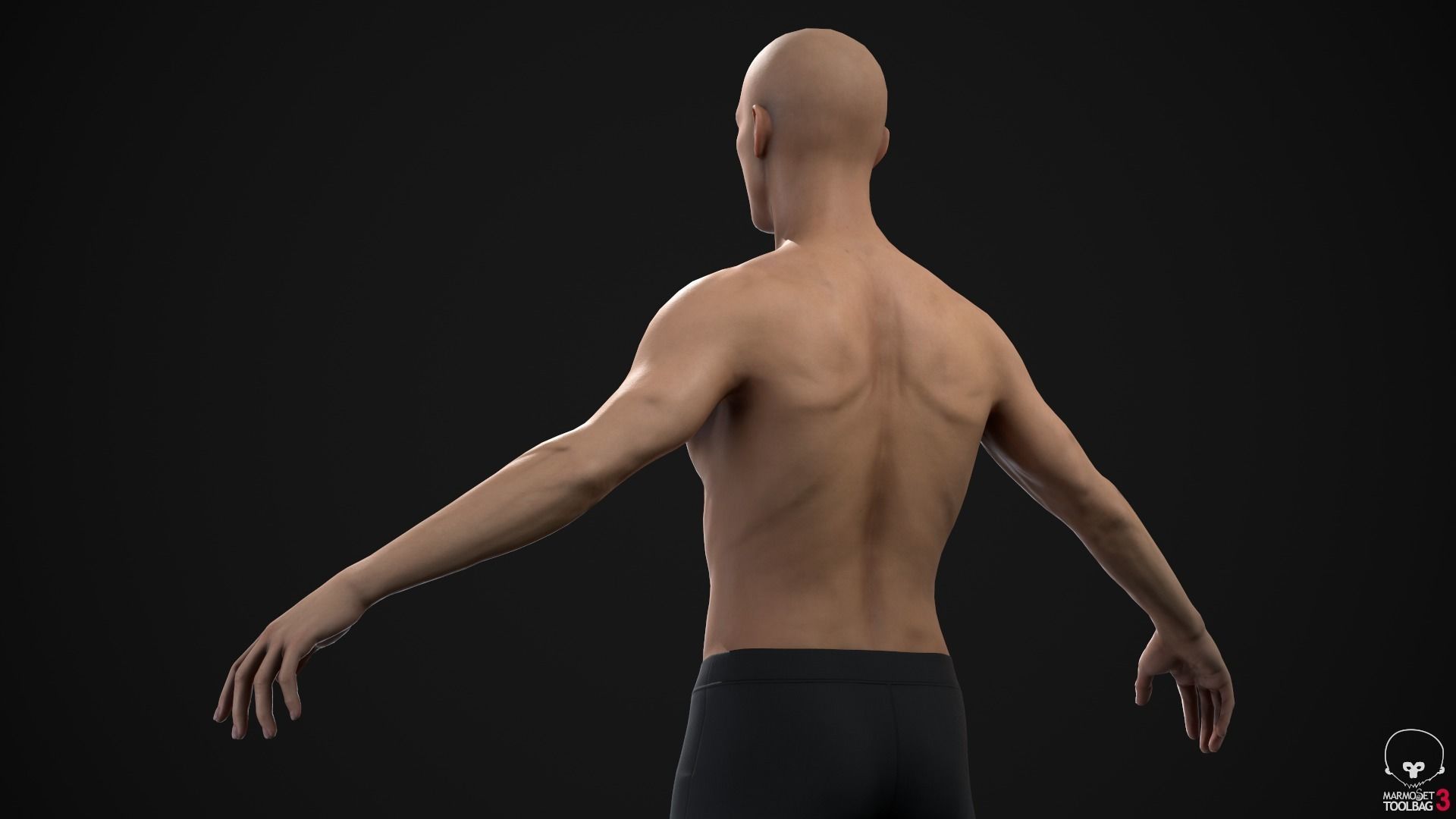 Standard people pack 3D Model Collection_21