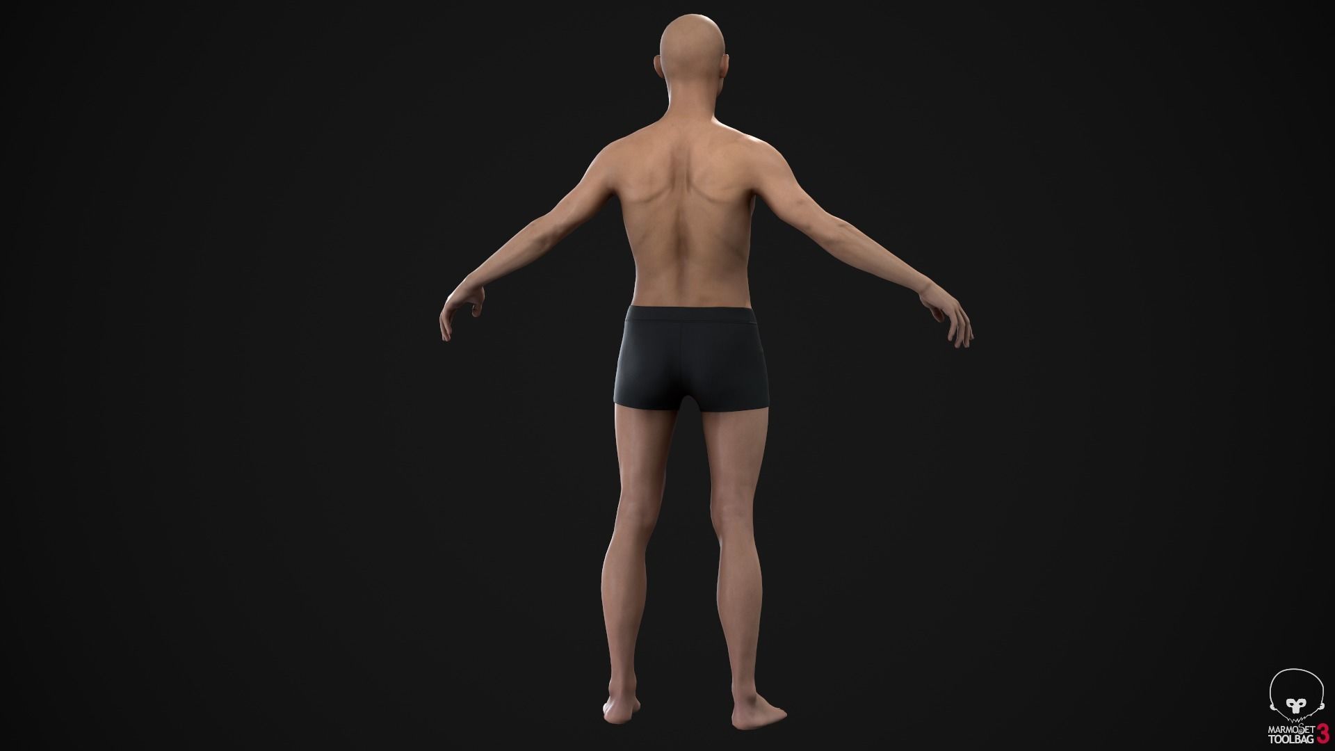 Standard people pack 3D Model Collection_14
