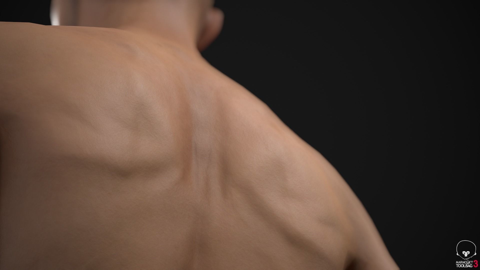 Standard people pack 3D Model Collection_22