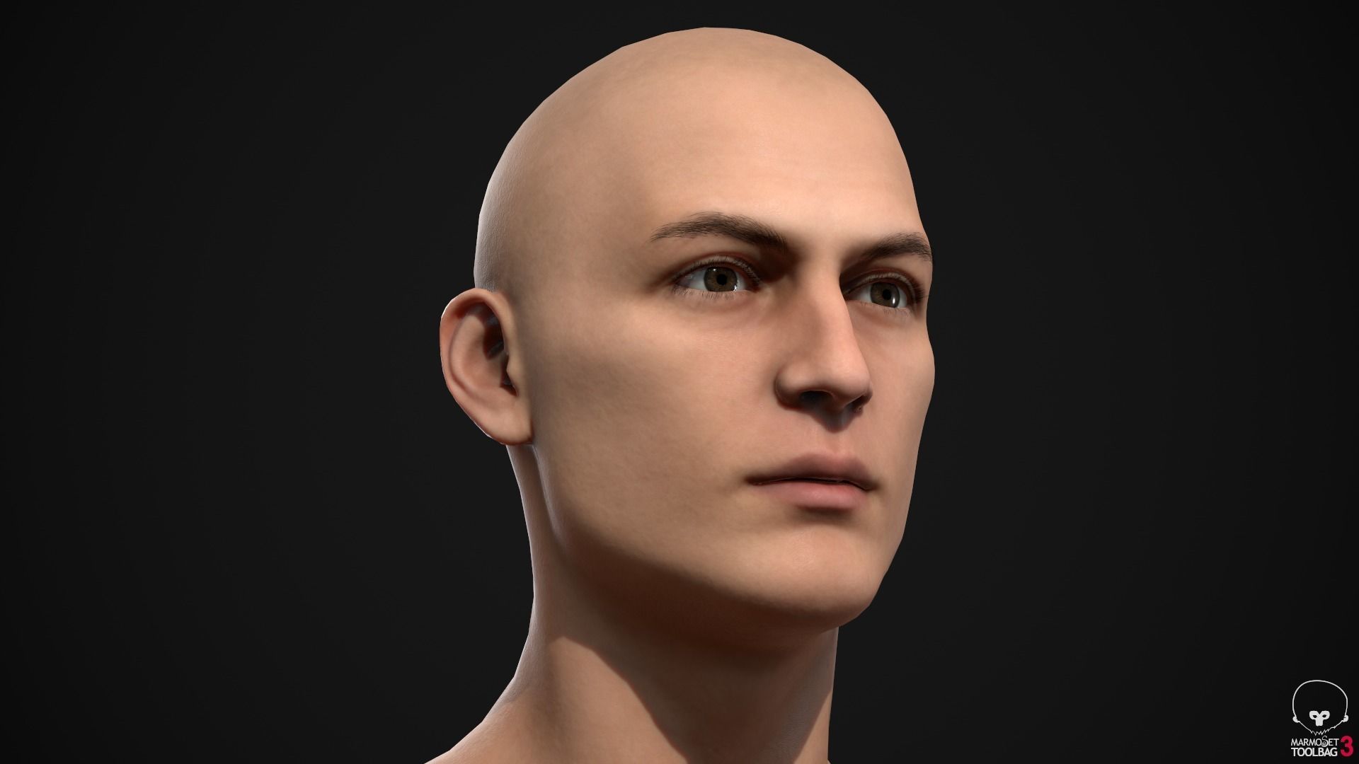 Standard people pack 3D Model Collection_17