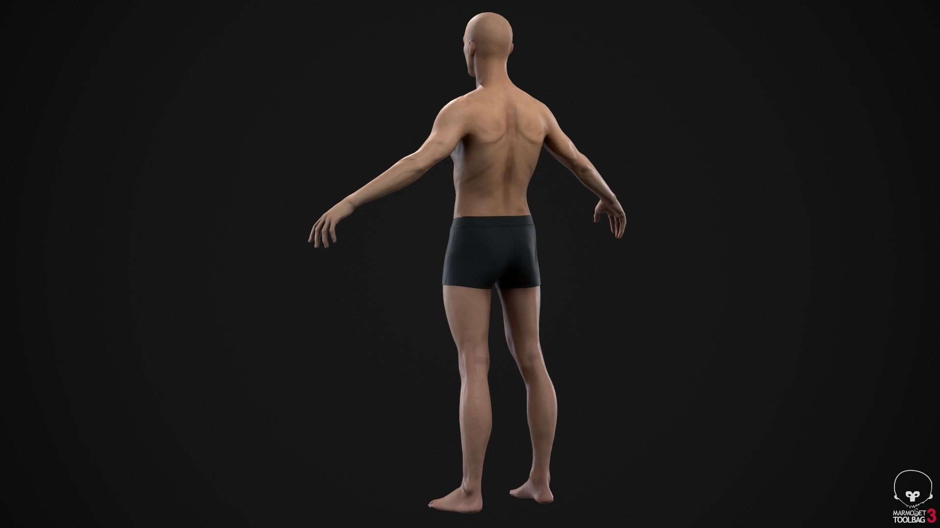 Standard people pack 3D Model Collection_12