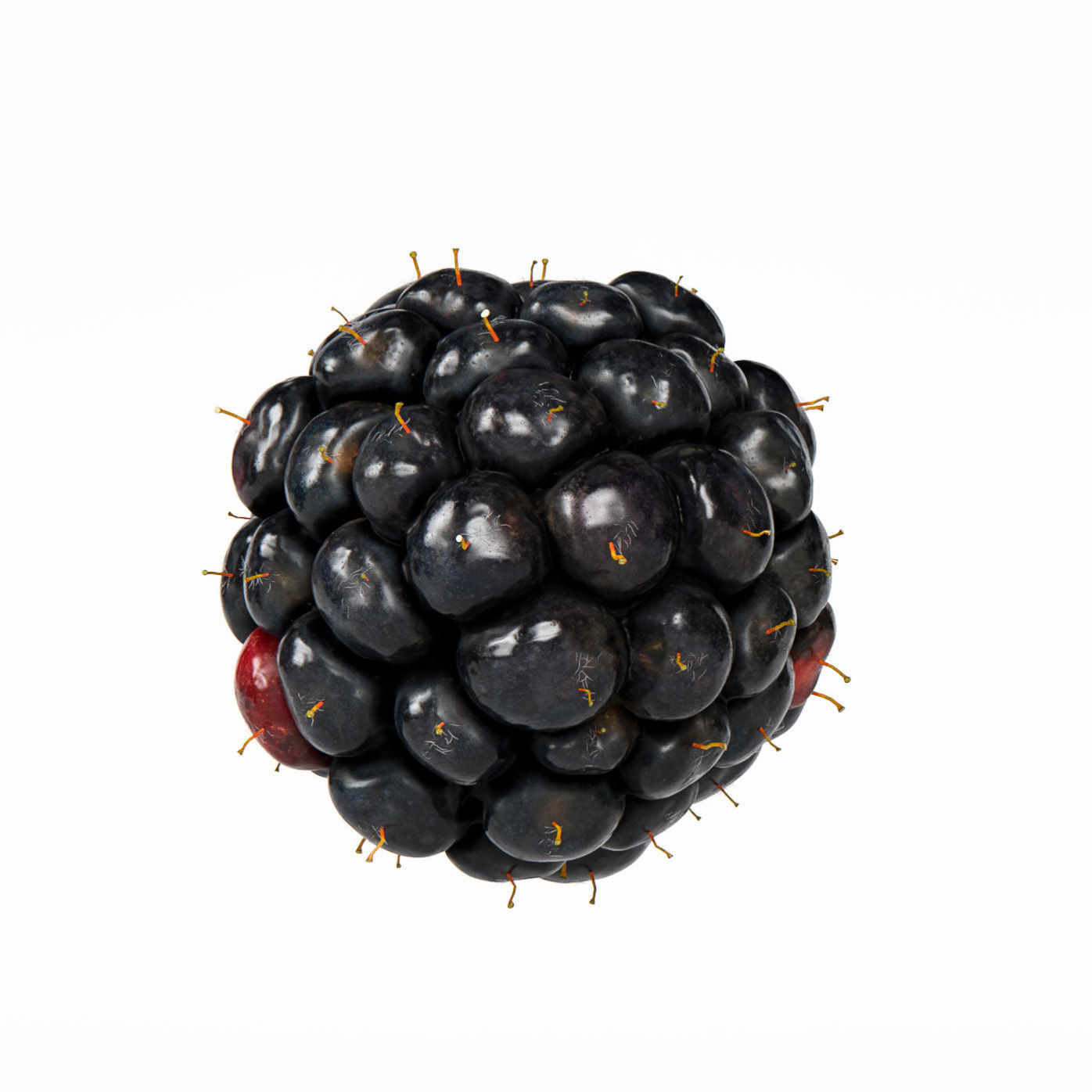 Blackberry 3D model_6