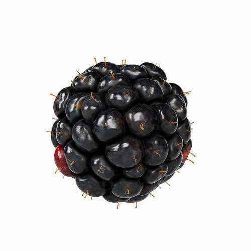 Blackberry 3D model 7
