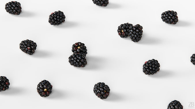 Blackberry 3D model 3