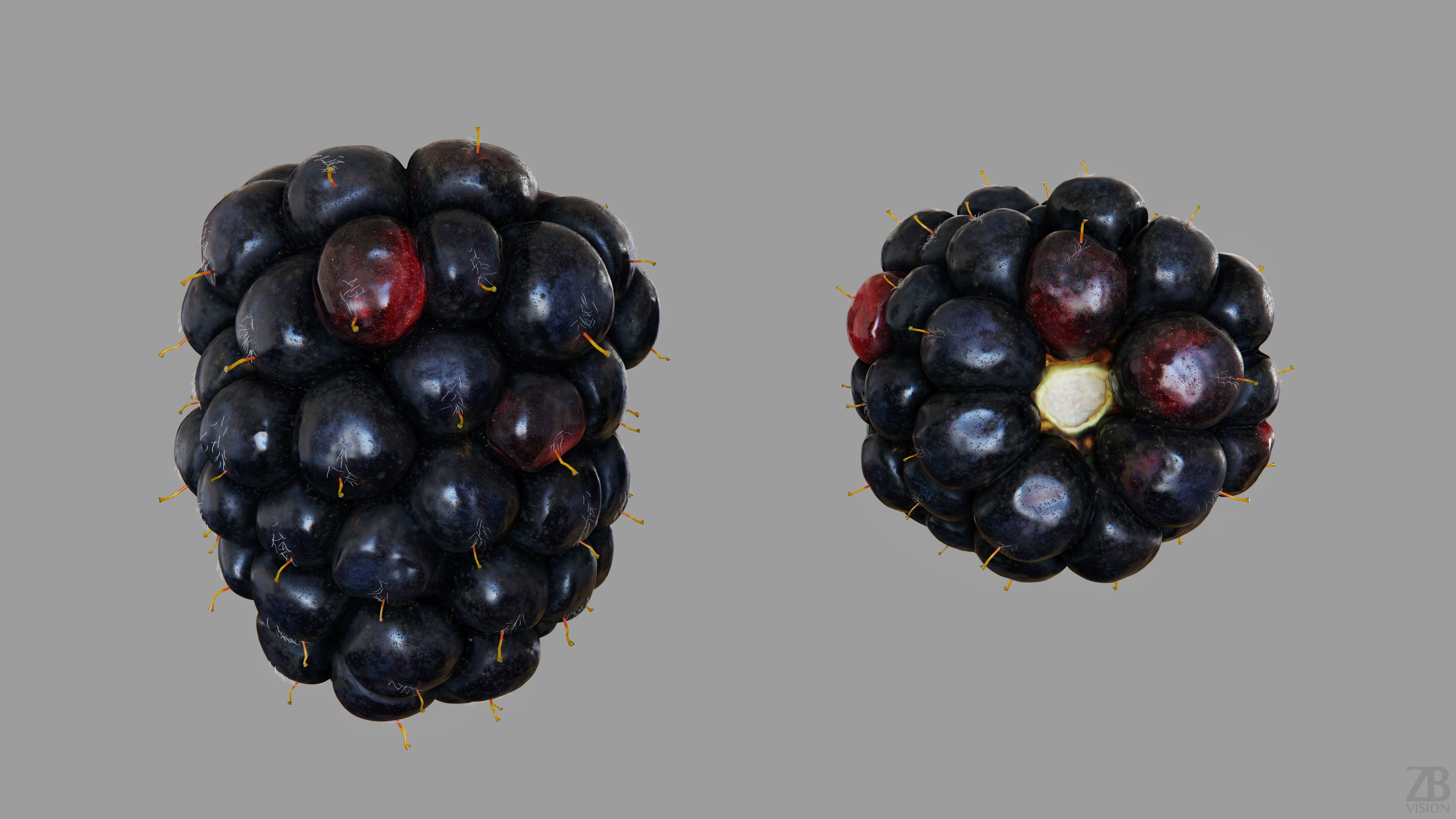 Blackberry 3D model_13