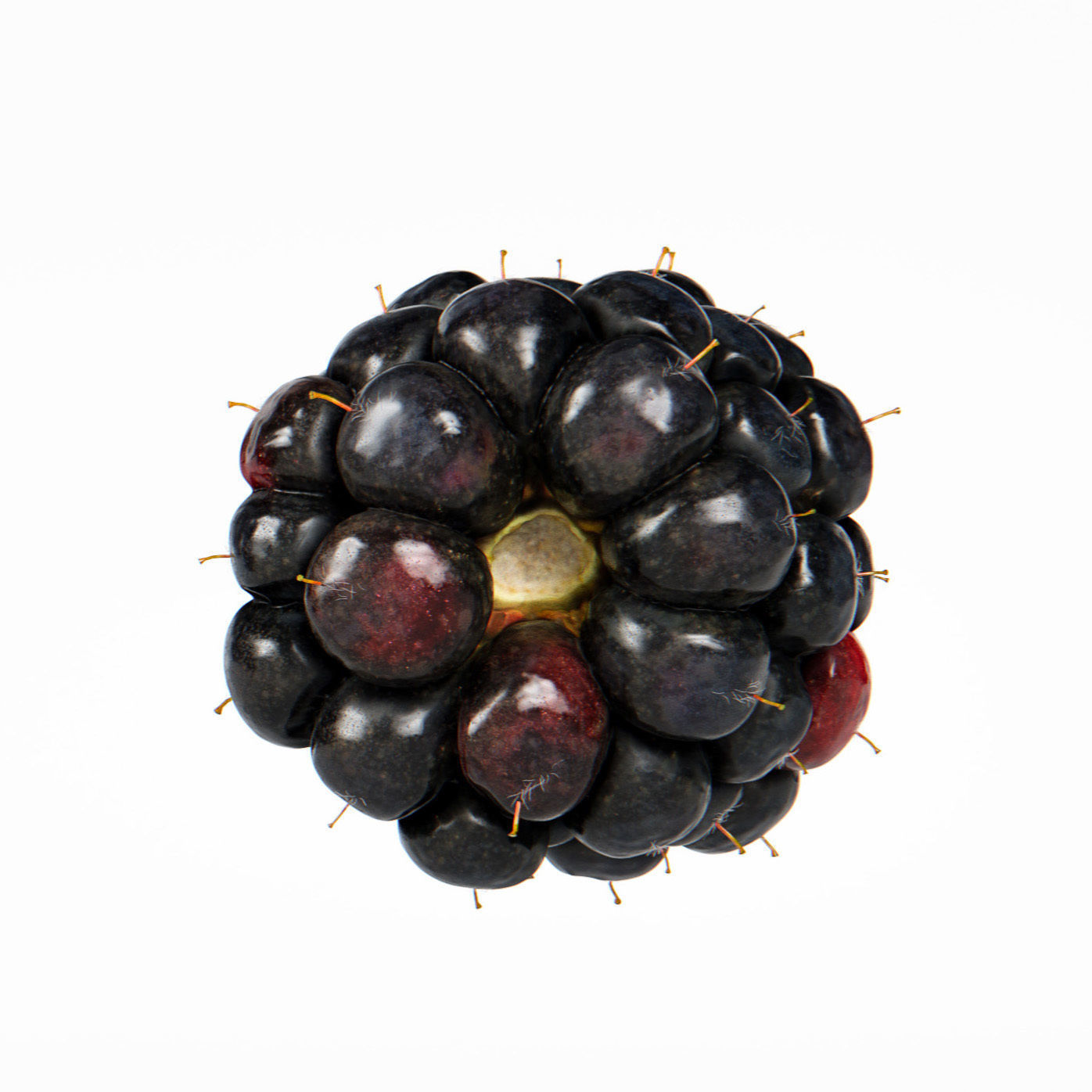Blackberry 3D model_8