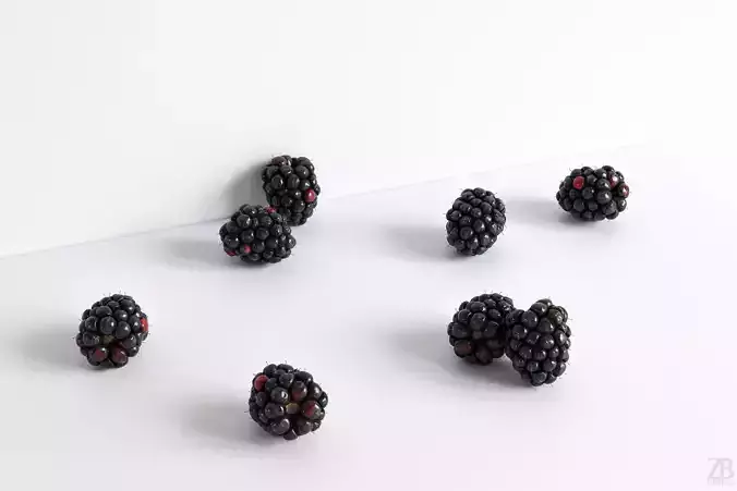 Blackberry 3D model