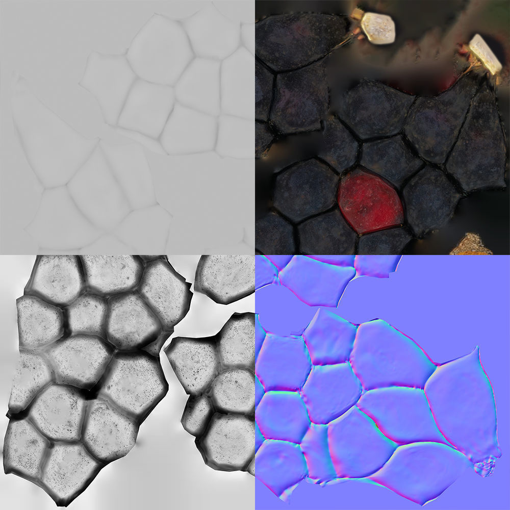 Blackberry 3D model_12