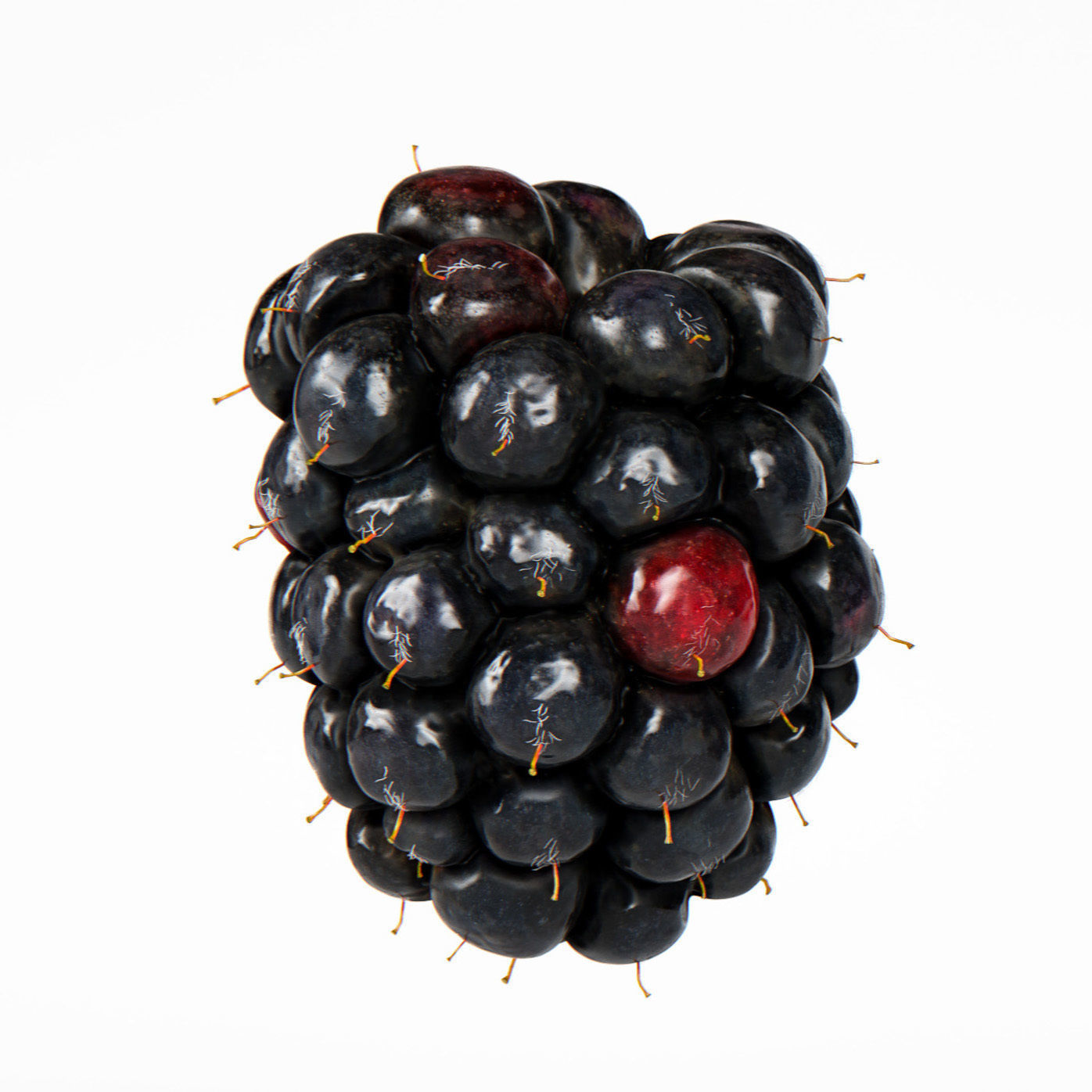 Blackberry 3D model_5