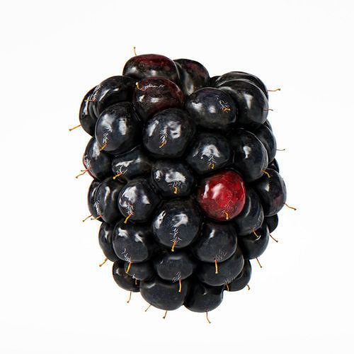 Blackberry 3D model 6