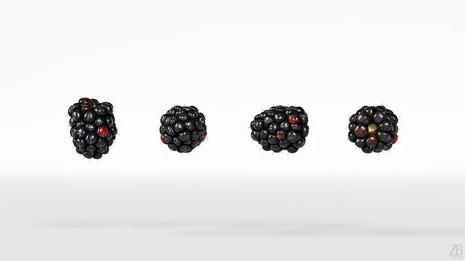 Blackberry 3D model 5