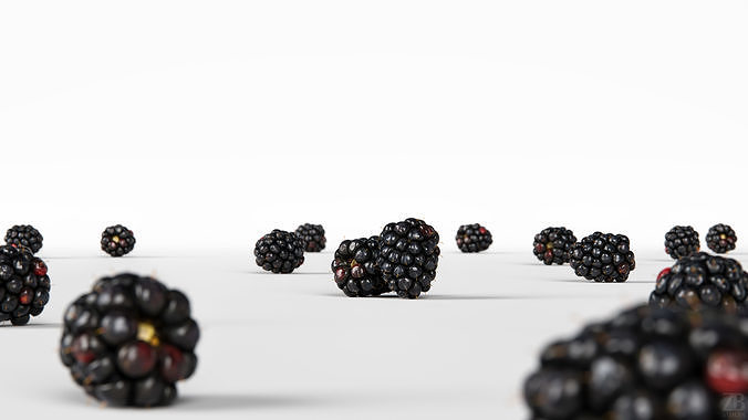 Blackberry 3D model 2