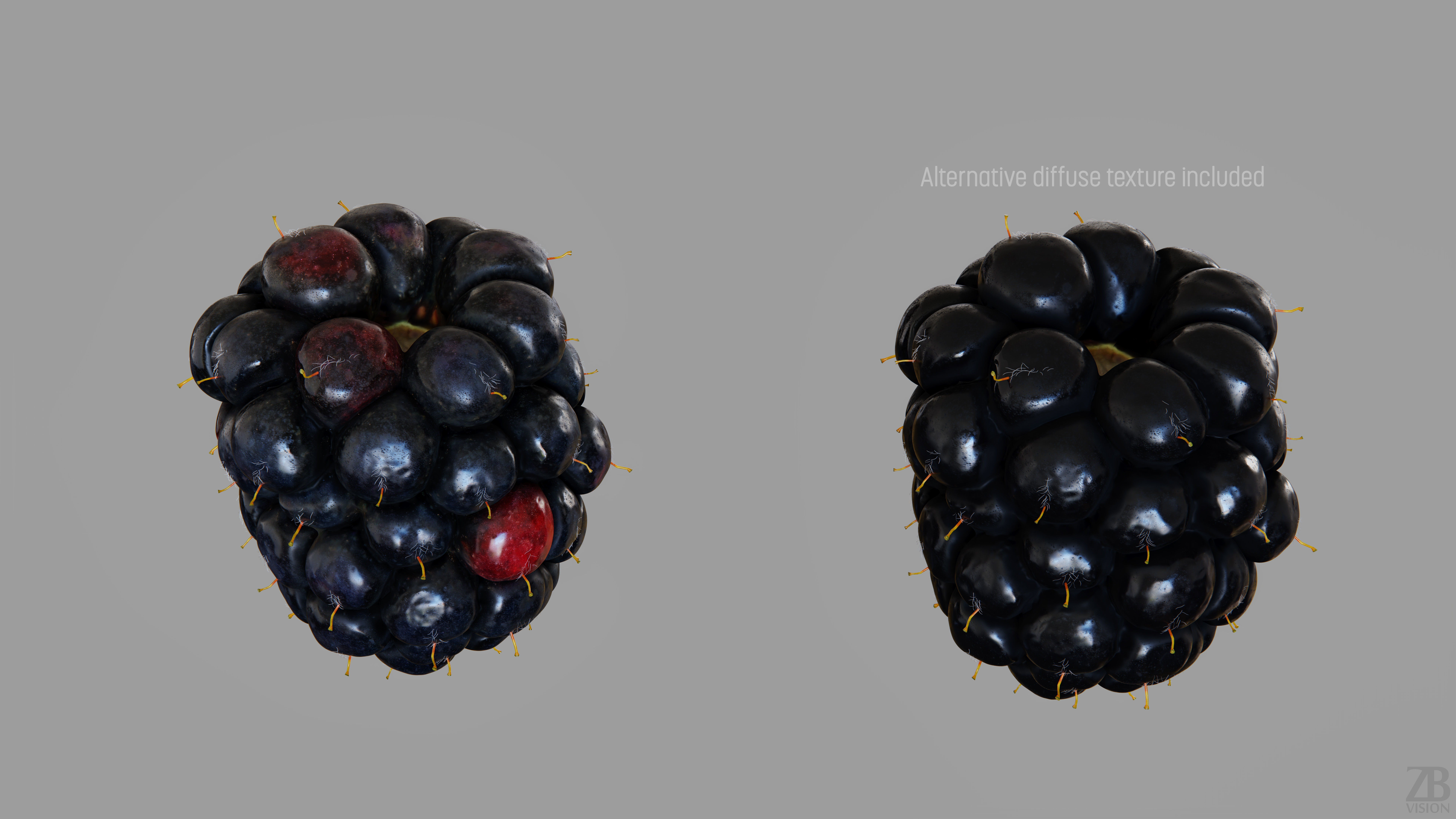 Blackberry 3D model_14