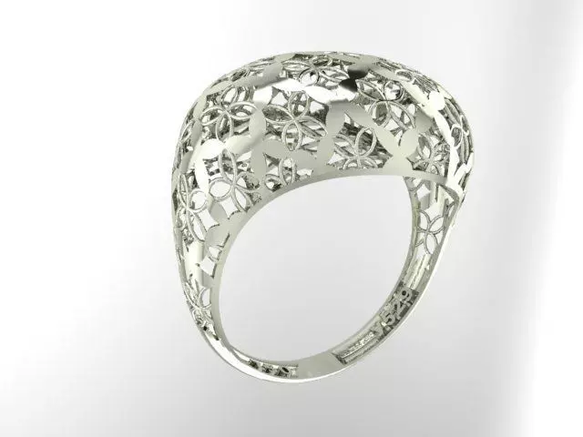 Ring Fusion 3D print model_0