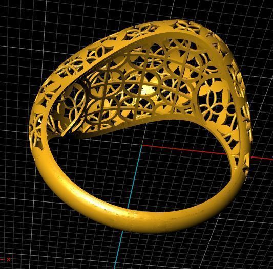 Ring Fusion 3D print model_8
