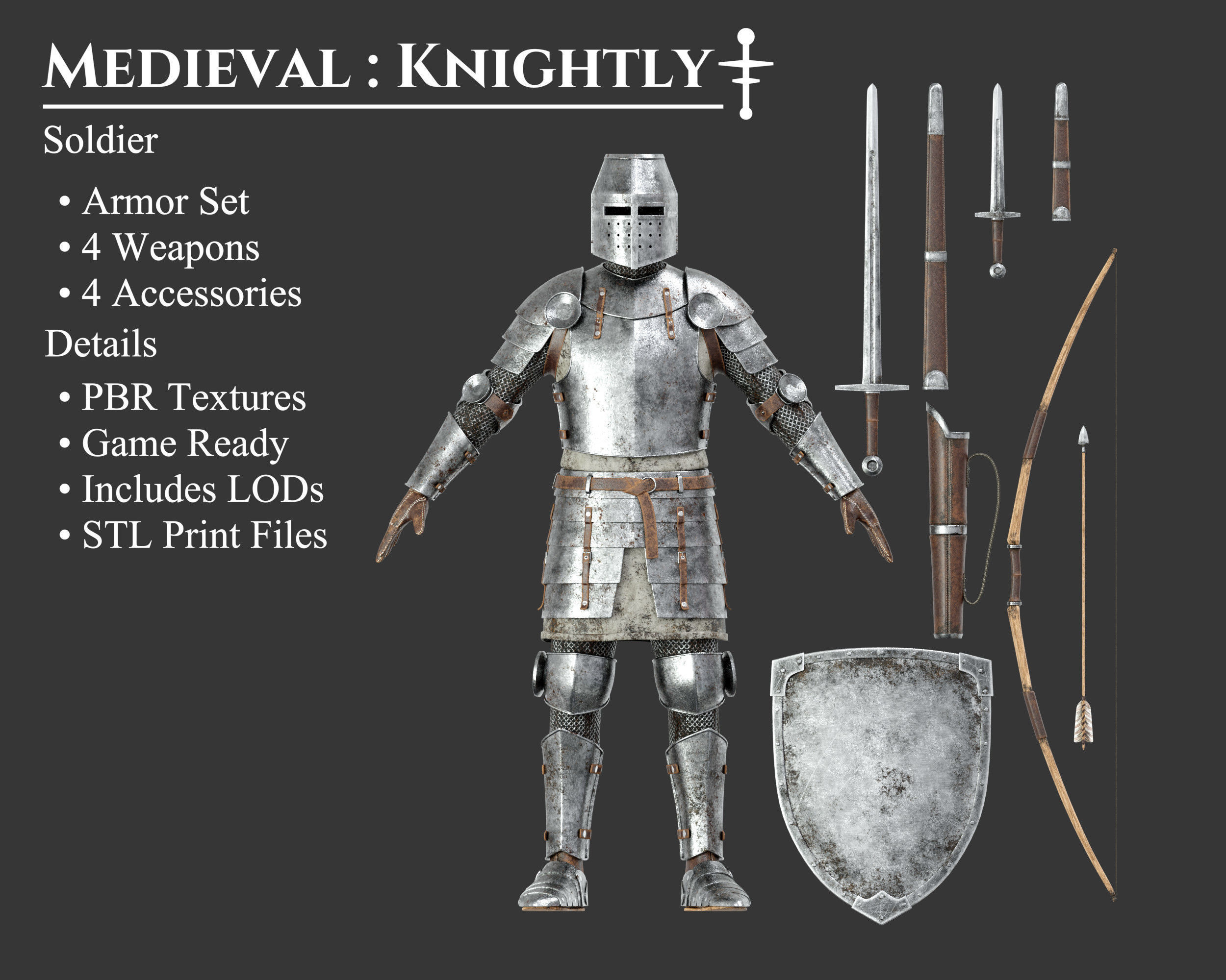 Medieval Collection Knightly Soldier _1