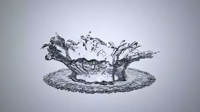 Splash Water 3D Model with Flat Standing Bottom