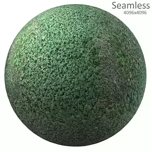 green texture Texture