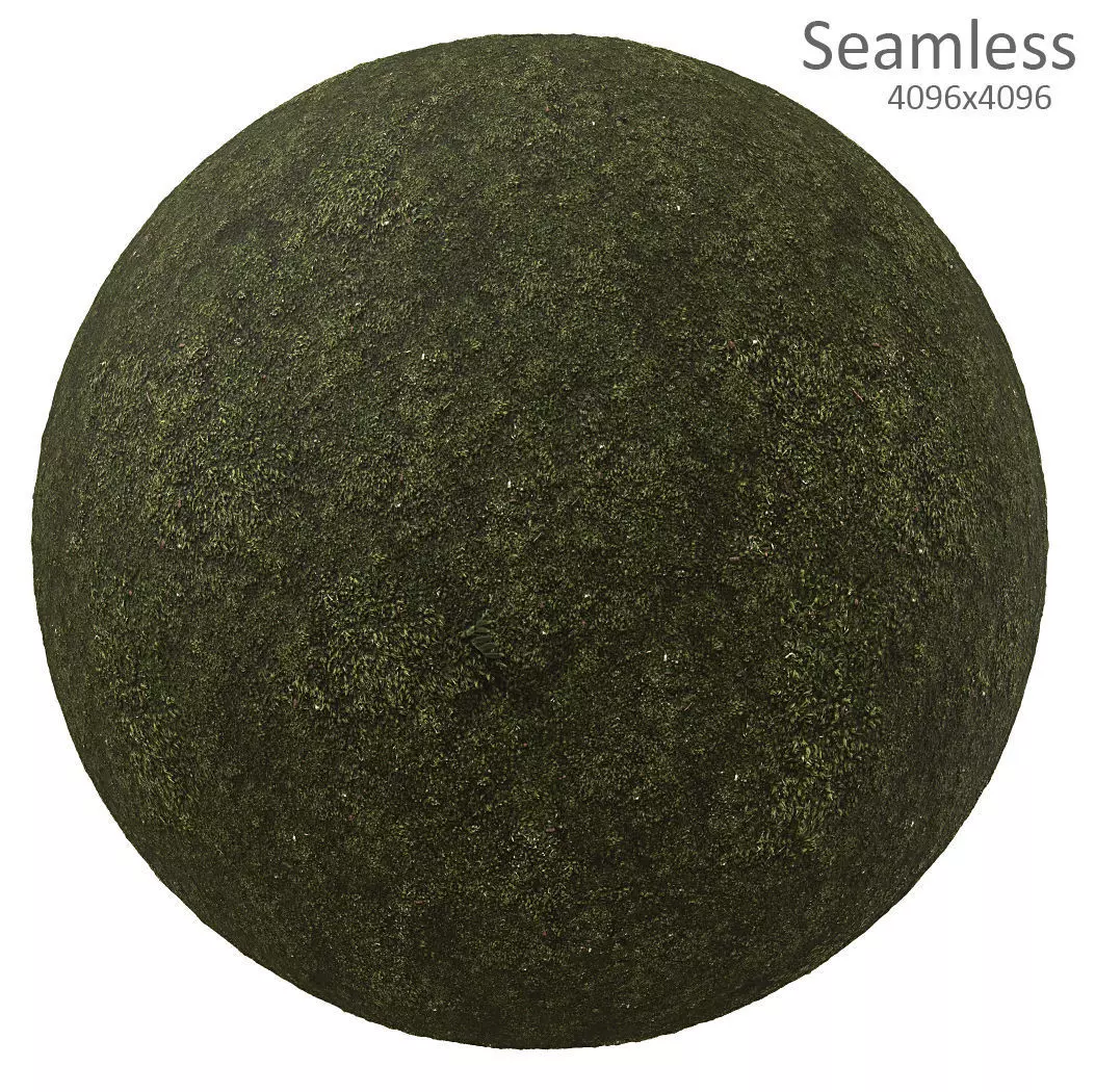 moss texture Texture_0