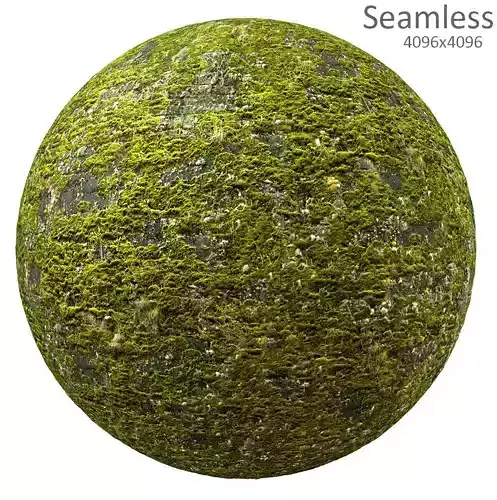 moss texture Texture