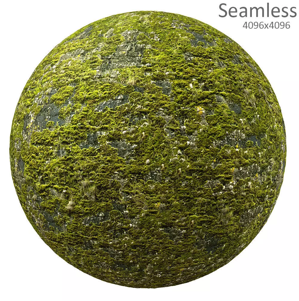 moss texture Texture_0