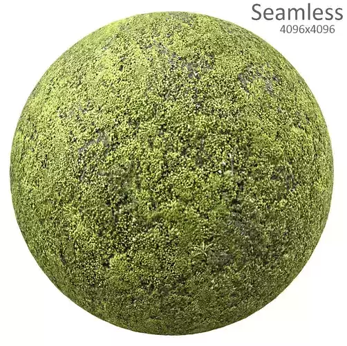 moss texture Texture