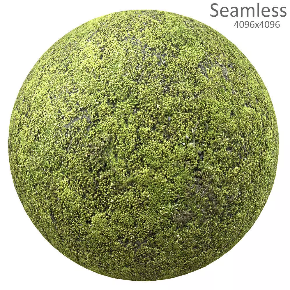 moss texture Texture_0