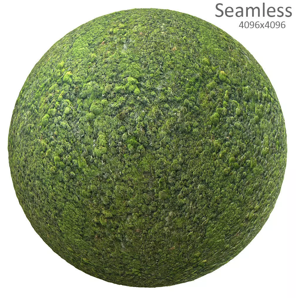 moss texture Texture_0