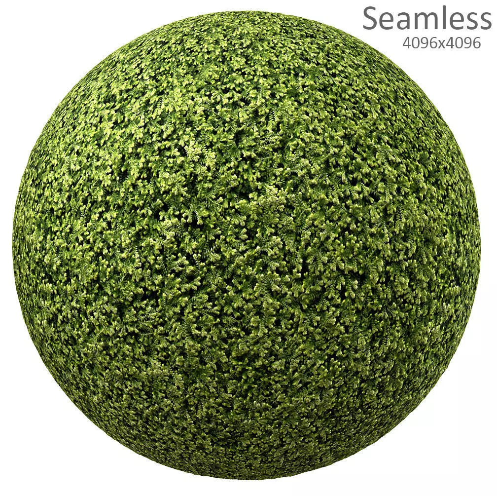 moss texture Texture_0