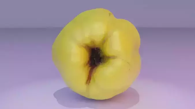 Quince fruit 04 high-poly 3D model