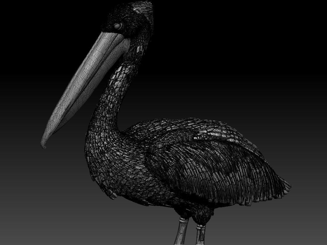 pelican 3D print model_9