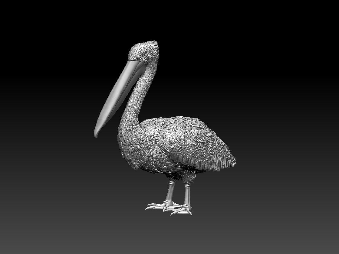 pelican 3D print model_5