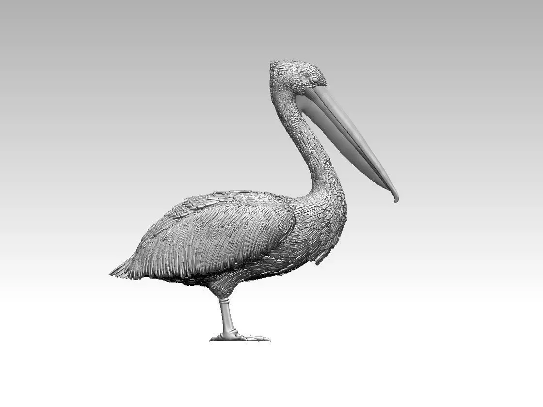 pelican 3D print model_0