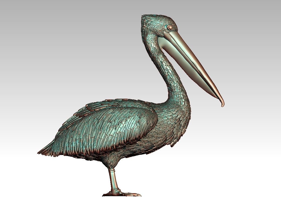 pelican 3D print model_1