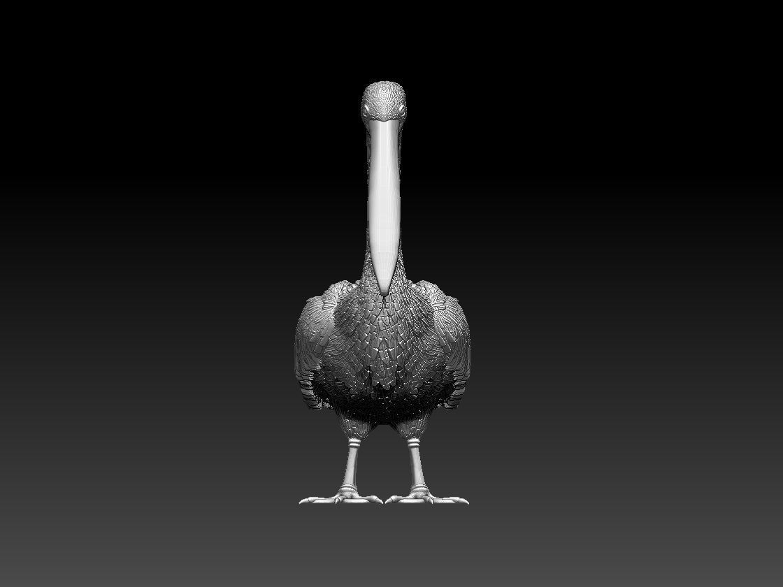 pelican 3D print model_8