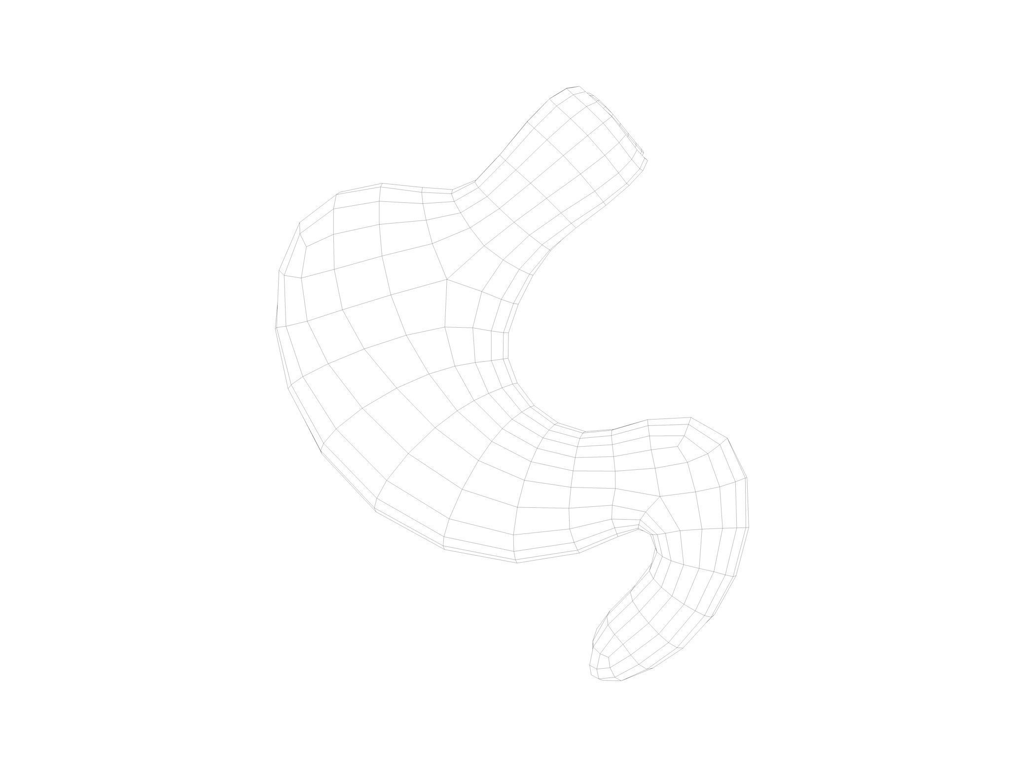 Human Stomach Low-poly 3D model_10