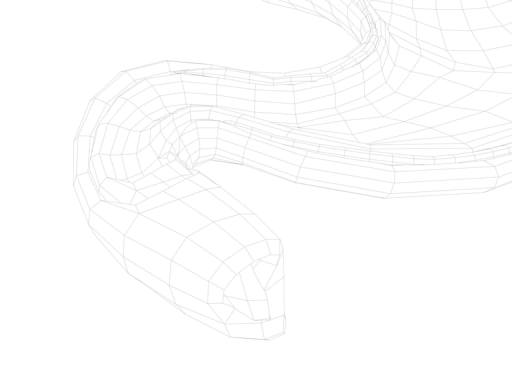 Human Stomach Low-poly 3D model_12