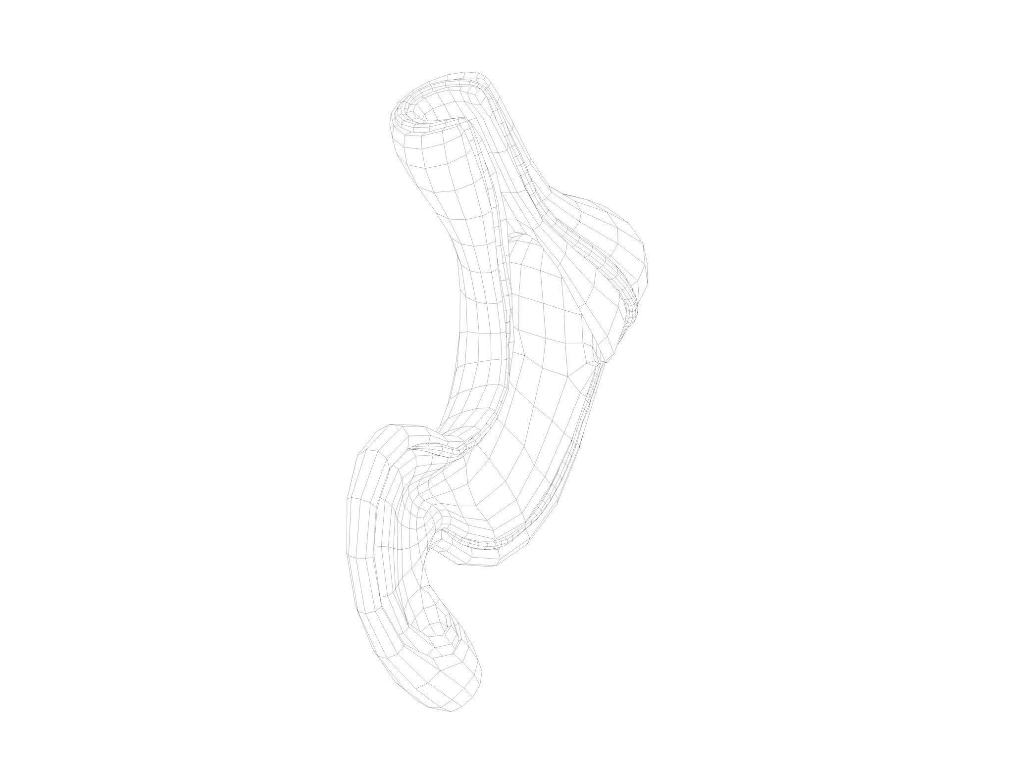 Human Stomach Low-poly 3D model_9