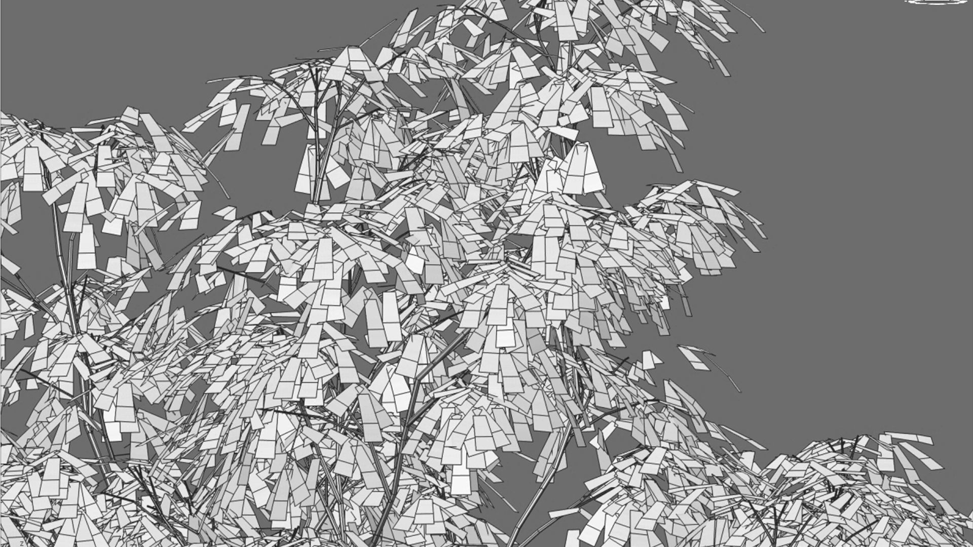 Dolonix regia - Royal Poinciana 3D model_6