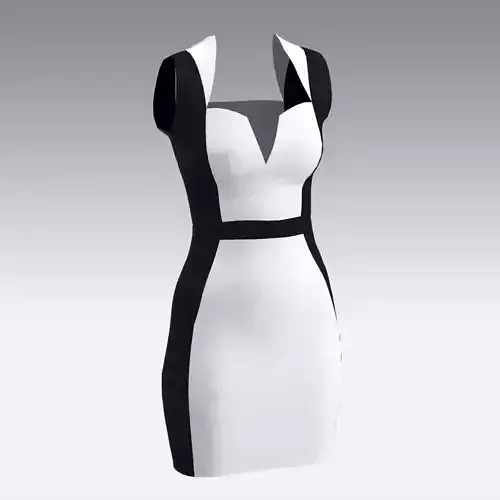 DRESS BLACK AND WHITE SMAL DRESS NECKLINE COLORBLOCK DRESS